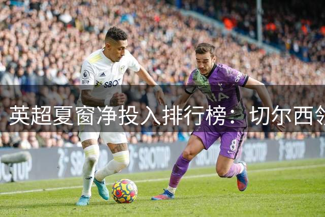 英超夏窗净投入排行榜：切尔西领跑 升班马表现抢眼